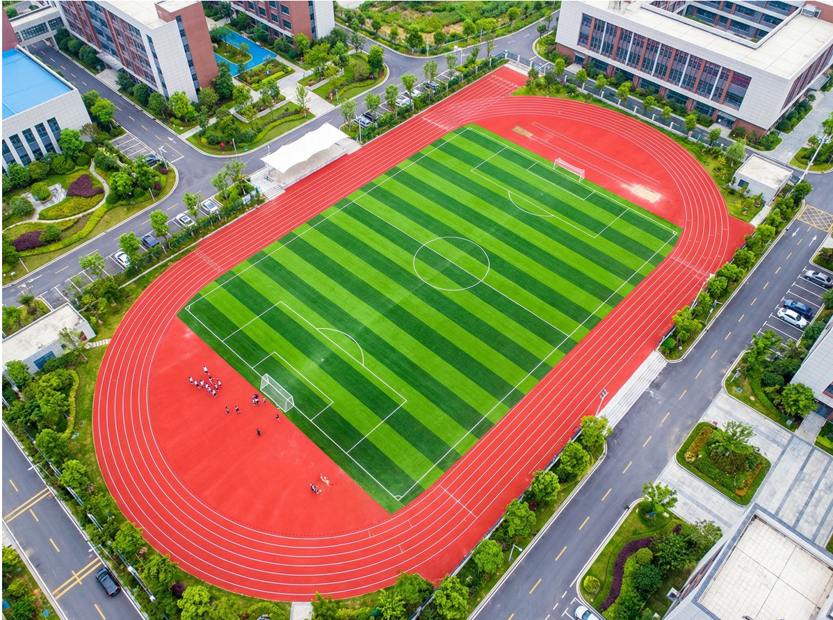滨州市EPDM塑胶跑道学校塑胶跑道 - 厂家